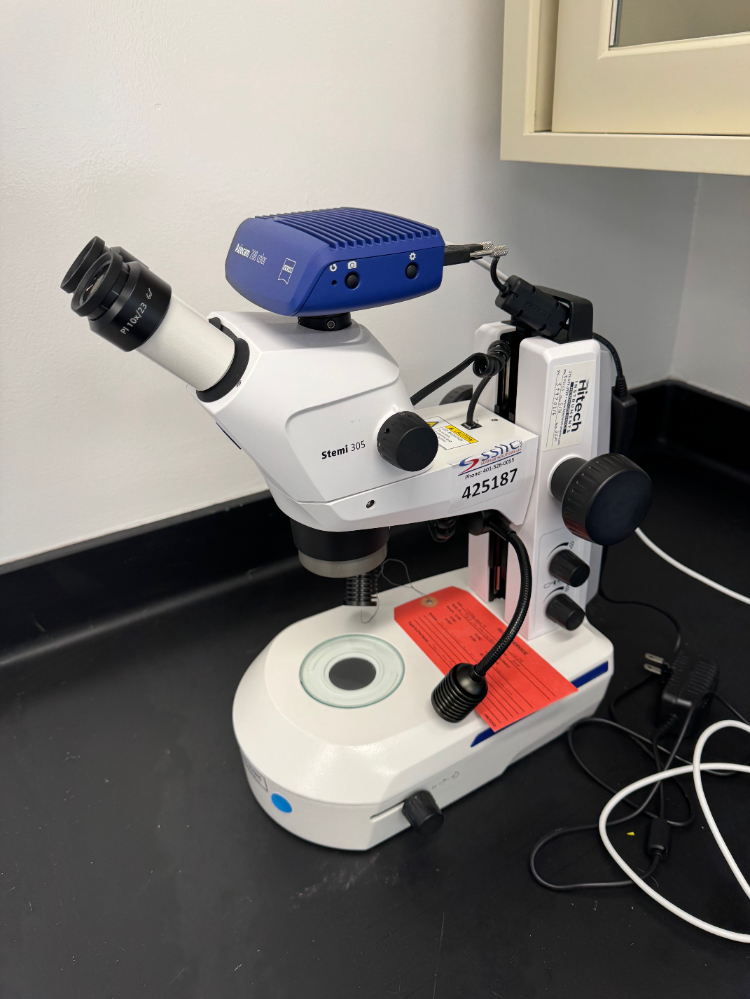 Image of Zeiss Stemi305 Stereo Microscope